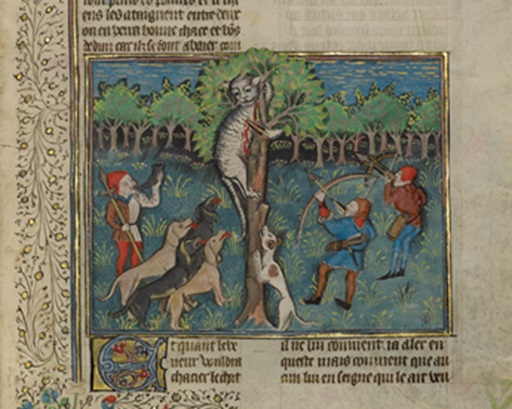 Cat with human-like face hides from dogs and hunters alike in a tree. Image is placed on a page of text from a medieval era book.